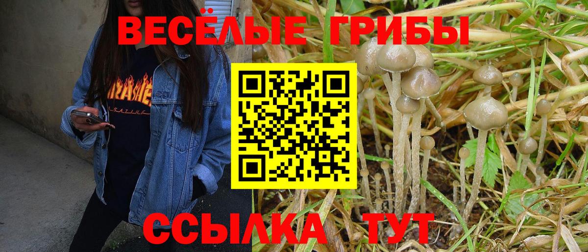 Псилоцибиновые грибы прущие грибы  Галлюциногенные грибы мухоморы  Павлово  Вход с VPN 